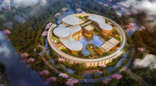 湖畔大学