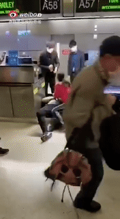 华人夫妇机场下跪号啕大哭5.gif