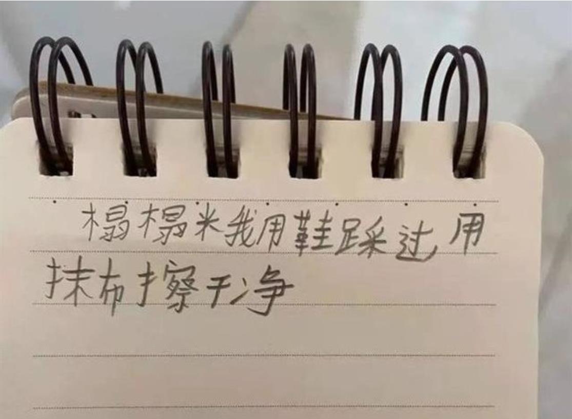 沪女孩自杀留千字血泪指控:爸妈来生别再见!