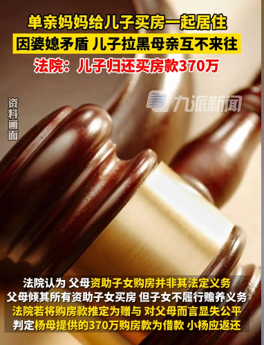 东城区法院认定杨母向小杨支付的370万元应为借贷，判决小杨返还杨母借款本金370万元 ...