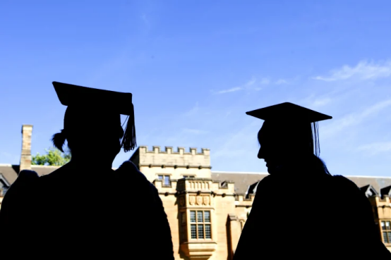 去年学校在例行检查后发现了欺诈性申请的激增